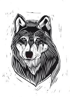 a black and white drawing of a wolf's face