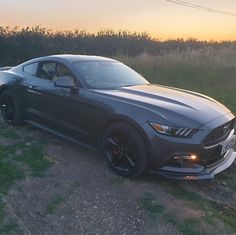 a car parked on the side of a road near grass and bushes at sunset or dawn