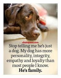 a brown dog laying on top of a wooden floor next to a quote from his family