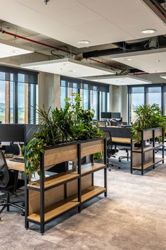 an office with plants and desks in the foreground, large windows on both sides