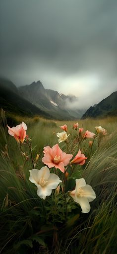 some pink and white flowers in the grass with mountains in the background