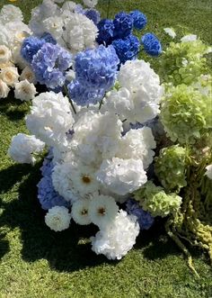 white and blue flowers are in the grass