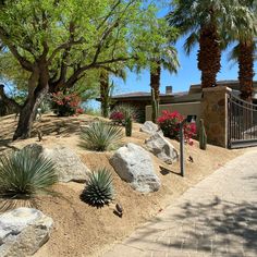 a house with palm trees and rocks in the front yard