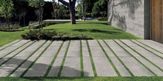 an outdoor area with grass and concrete tiles