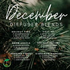 Essential Oil Spray Recipes, Scent Blends, Snow Gif, Essential Oil Reed Diffuser, Essential Oil Combinations, Essential Oil Diffuser Blends Recipes, Essential Oil Carrier Oils, Essential Oils Guide, Essential Oils Herbs