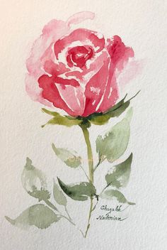 a watercolor painting of a pink rose