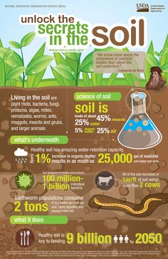 an info poster with information about soil and plants