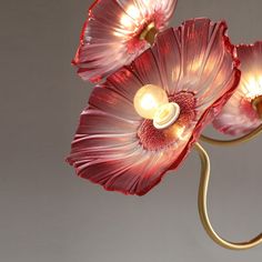 two red flowers are hanging from a gold metal hook on a gray background with light bulbs in the middle