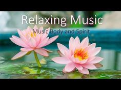 Most Relaxing Song, Meditation Music Playlists, Reiki Music, Spa Music, Relaxing Songs, Recreation Therapy, Yoga Music