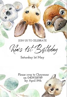 a birthday card with koalas and eucalyptus leaves