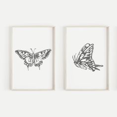 three framed drawings of two butterflies in black and white