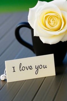 a white rose sitting on top of a table next to a black cup with i love you written on it