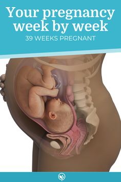 a baby in the stomach with text that reads, your pregnancy week by week 39 weeks pregnant