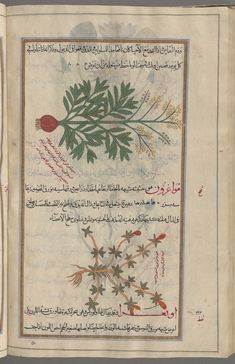 an open book with arabic writing and pictures of plants on it's cover page