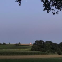 the moon is setting over an open field with trees and cornfield in the foreground