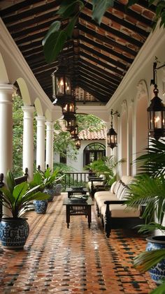 an outdoor patio with potted plants on the floor and lights hanging from the ceiling