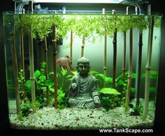 an aquarium filled with plants and a buddha statue