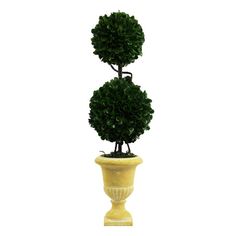 a small potted tree in a yellow planter on a white background with clippings