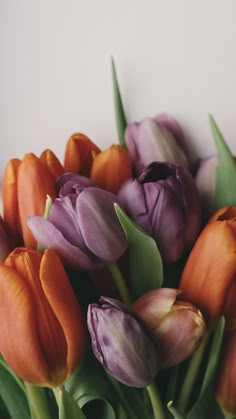 purple and orange tulips are in a vase