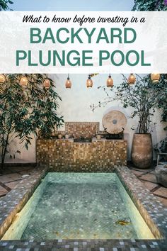 a backyard plunge pool with text overlay that reads, what to know before investing in a backyard plunge pool