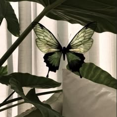 a green and black butterfly sitting on top of a white pillow next to a plant