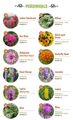 an image of different flowers that are in the garden with their names and pictures on them