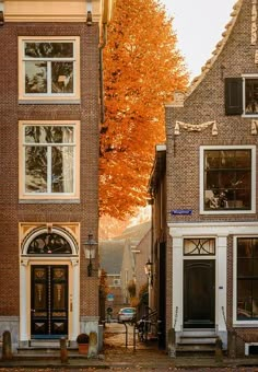 an orange tree is in front of some buildings