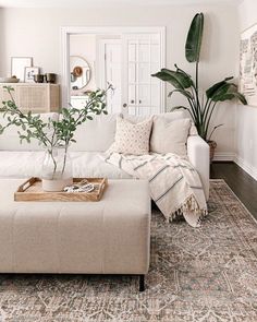 a living room filled with furniture and a plant on top of a ottoman in front of a doorway