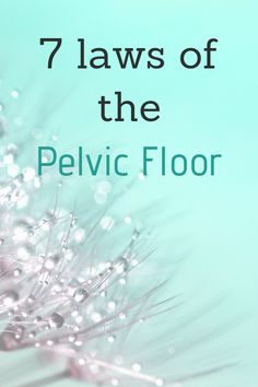 Pelvic Floor Therapy, Diastasis Recti Exercises, Pelvic Health