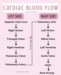 the right side and left side of blood flow chart