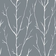 the branches of a tree are white against a light blue background, with no leaves on them