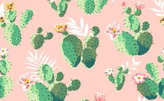 a pink background with green cactus and flowers