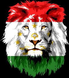 an image of a lion with the flag of italy on it's face and mane