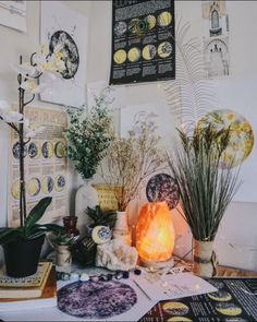 a table topped with lots of different types of plants and vases on top of it