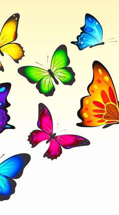 a group of colorful butterflies flying in the air