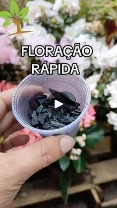 a person holding a cup filled with black rocks in front of some white and pink flowers