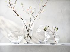 three clear vases with flowers in them on a shelf next to a white wall