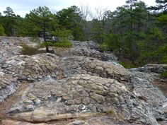 some rocks and trees in the background