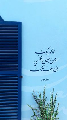 a blue building with arabic writing on it and a potted plant next to it