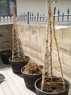 three potted plants on the side of a building with string wrapped around them in front of a brick wall