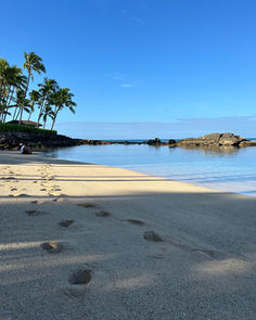 Beach days keep the worries away! 🌴 

Grab your sunscreen and let’s soak up the sun together! 🌺
.
.
.
.
.
[Beach, sunscreen, sun, tropical, vacation, relax, summer, getaway]