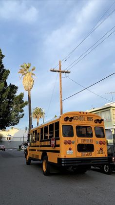 a school bus is parked on the side of the road in front of some palm trees