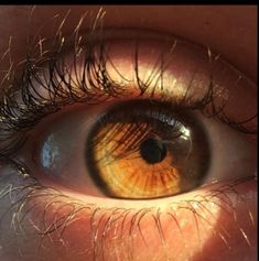 #aesthetic  #brown #eyes Brown Eyes Reference, Chocolate Brown Eyes Aesthetic, Brown Eyes With Gold Flecks, Honey Eyes Aesthetic, Honey Brown Aesthetic, Pretty Brown Eyes Aesthetic, Brown Eyes In The Sun, Aesthetic Brown Eyes, Honey Brown Eyes