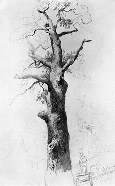 a drawing of a large tree with no leaves