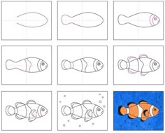 how to draw clown fish step by step