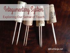 four white toothpicks sitting on top of each other in front of a brown background