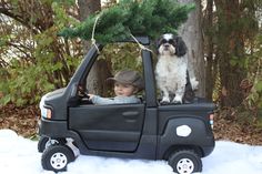 a small child in a toy truck with a dog sitting on the driver's seat