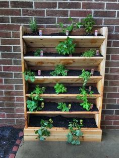 a wooden shelf filled with plants on top of a cement floor next to a brick wall