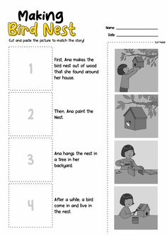 the worksheet for making bird nest