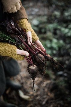 a person holding up some root vegetables in their hands